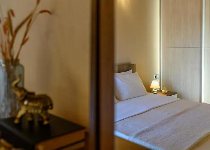 Anesis 2022 アパート